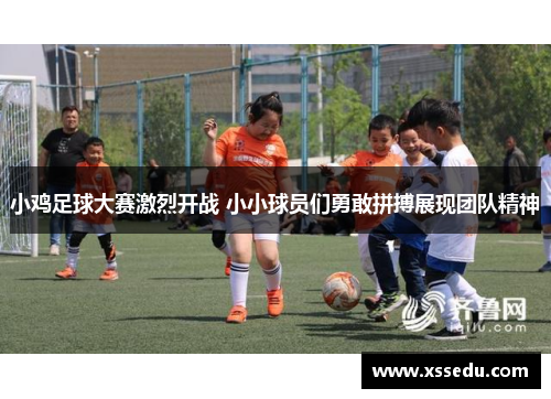 小鸡足球大赛激烈开战 小小球员们勇敢拼搏展现团队精神