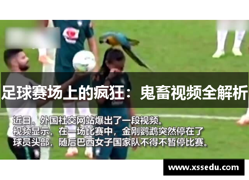 足球赛场上的疯狂：鬼畜视频全解析