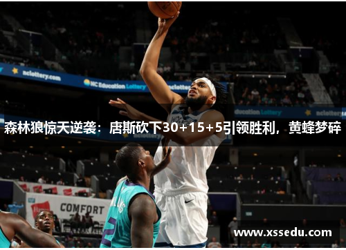 森林狼惊天逆袭：唐斯砍下30+15+5引领胜利，黄蜂梦碎