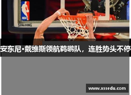 安东尼·戴维斯领航鹈鹕队，连胜势头不停