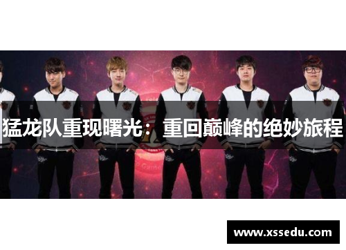 猛龙队重现曙光：重回巅峰的绝妙旅程