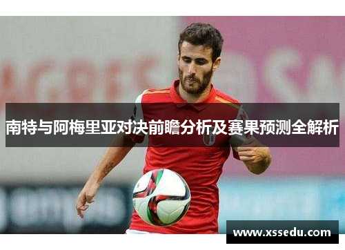 南特与阿梅里亚对决前瞻分析及赛果预测全解析